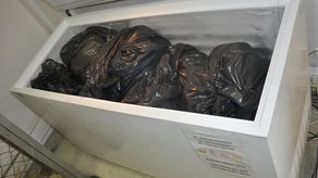 Kanapki, przekąski, desery. 53 tony jedzenia wylądowały w śmietniku