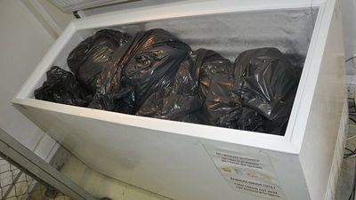 Kanapki, przekąski, desery. 53 tony jedzenia wylądowały w śmietniku