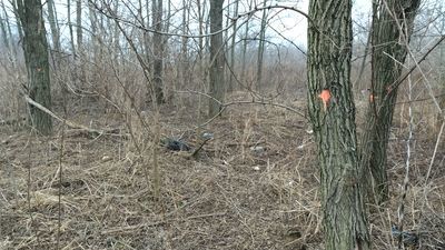 Lublin: Chcą wycinki drzew na górkach czechowskich. W czwartek ostatnia wizja lokalna