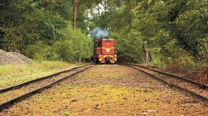 Kolejka wąskotorowa nie dojedzie do Nałęczowa. Samorząd zrezygnował z unijnej dotacji 