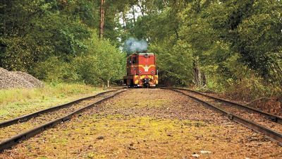 Kolejka wąskotorowa nie dojedzie do Nałęczowa. Samorząd zrezygnował z unijnej dotacji 