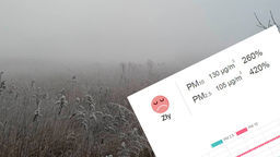 Dane pomiarowe o godz. 8 ze stacji przy ul. Braci Wieniawskich w Lublinie