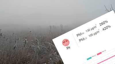 Dane pomiarowe o godz. 8 ze stacji przy ul. Braci Wieniawskich w Lublinie