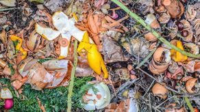 Zdjęcie ilustracyjne