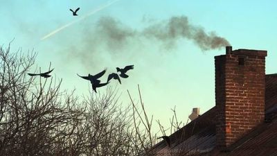 Zdjęcie ilustracyjne