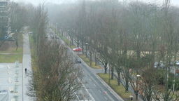 Wzdłuż Al. Racławickich, spośród 396 drzew, wyciętych miałoby być 26, a przesadzonych w inne miejsce 37. Przy ul. Lipowej, gdzie rośnie dziś 69 drzew, do wycinki wskazano 11, zaś do przesadzenia 19. Przy ul. Poniatowskiego, gdzie Ratusz doliczył się 173 drzew, wycięte mają być 73, a przeniesionych 46.