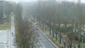 Wzdłuż Al. Racławickich, spośród 396 drzew, wyciętych miałoby być 26, a przesadzonych w inne miejsce 37. Przy ul. Lipowej, gdzie rośnie dziś 69 drzew, do wycinki wskazano 11, zaś do przesadzenia 19. Przy ul. Poniatowskiego, gdzie Ratusz doliczył się 173 drzew, wycięte mają być 73, a przeniesionych 46.