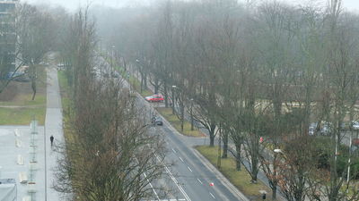Wzdłuż Al. Racławickich, spośród 396 drzew, wyciętych miałoby być 26, a przesadzonych w inne miejsce 37. Przy ul. Lipowej, gdzie rośnie dziś 69 drzew, do wycinki wskazano 11, zaś do przesadzenia 19. Przy ul. Poniatowskiego, gdzie Ratusz doliczył się 173 drzew, wycięte mają być 73, a przeniesionych 46.