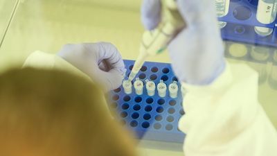 Coraz poważniejsza sytuacja. Ptasia grypa atakuje w kolejnych miejscach w woj. lubelskim