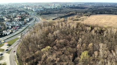 W ciągu kilku dni powinien być ujawniony raport naukowców mówiący o tym, jak można zagospodarowywać górki czechowskie, aby nie zniszczyć ich przyrody