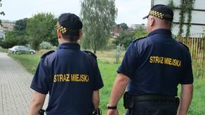 Zdjęcie ilustracyjne