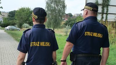 Zdjęcie ilustracyjne