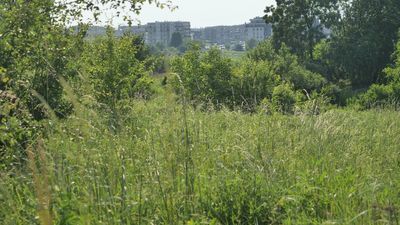 Raport pokazuje bogactwo przyrody górek. Mówi o setkach gatunków roślin (w tym 6 chronionych, 6 zagrożonych, 29 rzadkich)