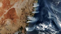 Pochłonęły ok. 10 mln. hektarów. Wyjaśniamy skąd się wzięły pożary w Australii