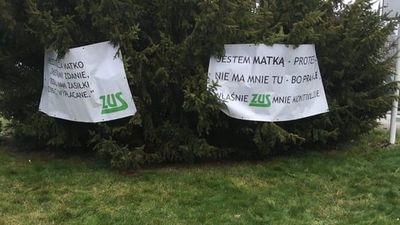 Banery z hasłami zawisły na choinkach przed ZUS w Lublinie. To protest matek