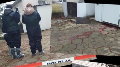 Krew zaczęła wyciekać z chłodni w Wierzchowiskach. W środku były martwe dziki