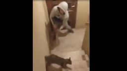 Katował kota metalową pałką, a jego dziewczyna to nagrywała. Zwierzę miało nie przeżyć