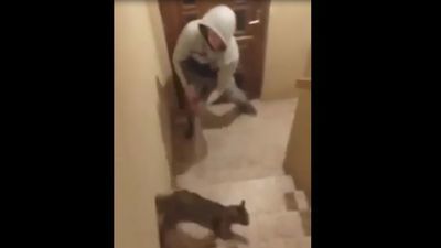 Katował kota metalową pałką, a jego dziewczyna to nagrywała. Zwierzę miało nie przeżyć