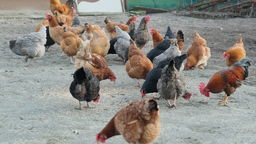 Zdjęcie ilustracyjne