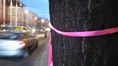 Kolorowe wstążki na drzewach do wycinki przy ul. Lipowej w Lublinie
