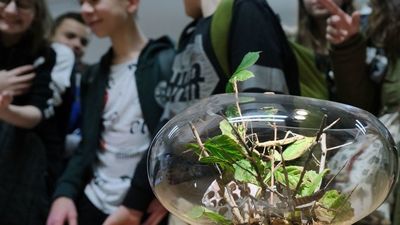 Zanurz się w naukowym świecie. Noc Biologów 2020 w Lublinie