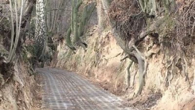 Wąwóz Czarny został już wyłożony ażurowymi betonowymi płytami. Urząd Miasta nie zmienił w tej sprawie decyzji mimo protestów i petycji przeciwko utwardzeniu wąwozu, którą podpisało ponad 2 tysiące osób z całej Polski