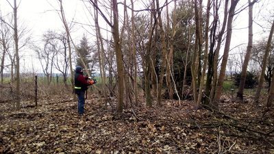 Mała wieś, ale mieszkają tu ludzie z wielkimi pomysłami