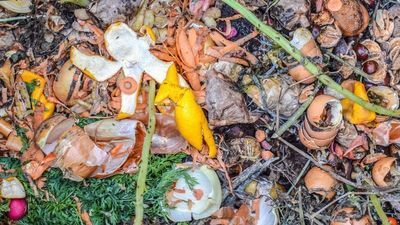 Zdjęcie ilustracyjne