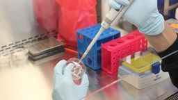 Zdjęcie ilustracyjne