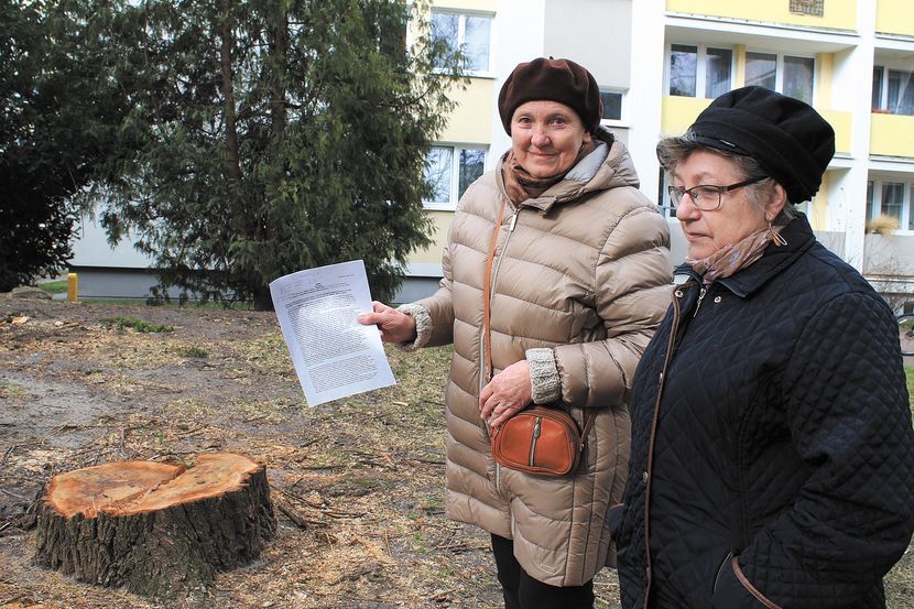 Grupa mieszkańców z os. Norwida w Puławach nie może pogodzić się z wycinką drzew przy ich blokach