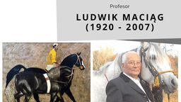 Biała Podlaska: Mural, wystawa i komiks. Wszystko na cześć polskiego malarza 