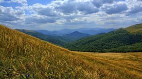 Bieszczady