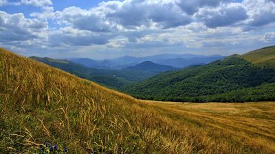 Bieszczady