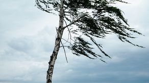 Uwaga na bardzo silny wiatr! Alert Rządowego Centrum Bezpieczeństwa