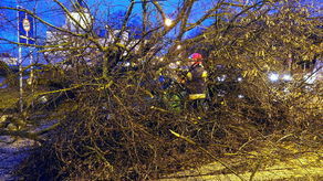 IMGW ostrzega przed porywistym wiatrem. Wichury mogą powodować duże straty