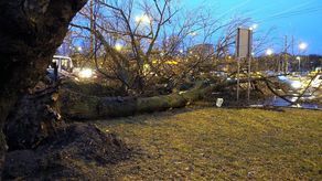 Zdjęcie ilustracyjne