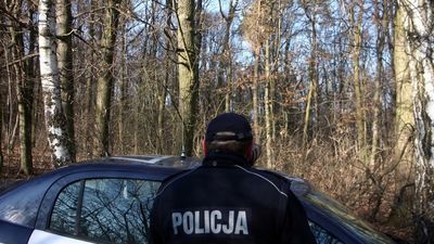 Ktoś rozwiesił ładunki wybuchowe na drzewach. Taki sygnał postawił na nogi strażaków i policjantów