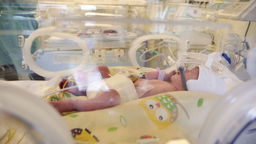 Jasiek, Franek i Stasiek. W lubelskim szpitalu na świat przyszły trojaczki [zdjęcia]