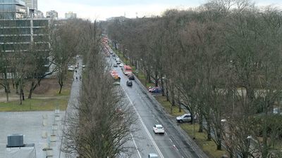 Ratusz twierdzi, że dzięki zmianom już na placu budowy ocaleje większość spośród 26 drzew zakwalifikowanych do wycięcia z Alej Racławickich