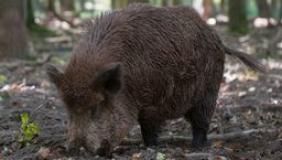 Zdjęcie ilustracyjne