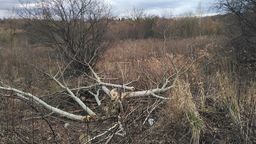 Lublin: Ruszyły wycinki na górkach czechowskich