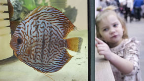 ZOOPARK można zwiedzać także w niedzielę, w godz. 9.30 - 17.30.