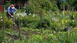 Działkowcy z Lublina dostaną milion złotych