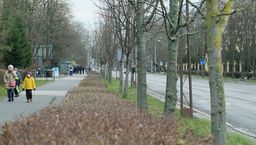 Al. Racławickie w Lublinie