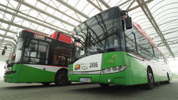 W dni powszednie MPK Lublin wysyła na ulice 181 autobusów i 77 trolejbusów

