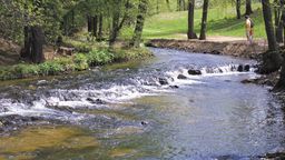 Roztocze ma teraz swoje pięć minut. To promocyjnie ważny dla Lubelskiego obszar