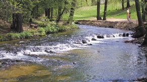 Roztocze ma teraz swoje pięć minut. To promocyjnie ważny dla Lubelskiego obszar