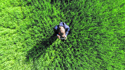 Dron pomoże rolnikom w Lubelskiem. Ułatwi zarządzanie pastwiskiem