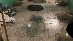 Kłusownicy łowili ryby na rzece Wieprz. W mieszkaniach trzymali sieci rybackie i wnyki