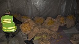 Straż Graniczna skonfiskowała 240 kg tytoniu. Miał posłużyć do nielegalnej produkcji papierosów [zdjęcia]